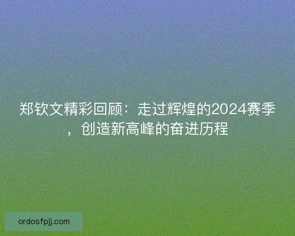 郑钦文精彩回顾：走过辉煌的2024赛季，创造新高峰的奋进历程