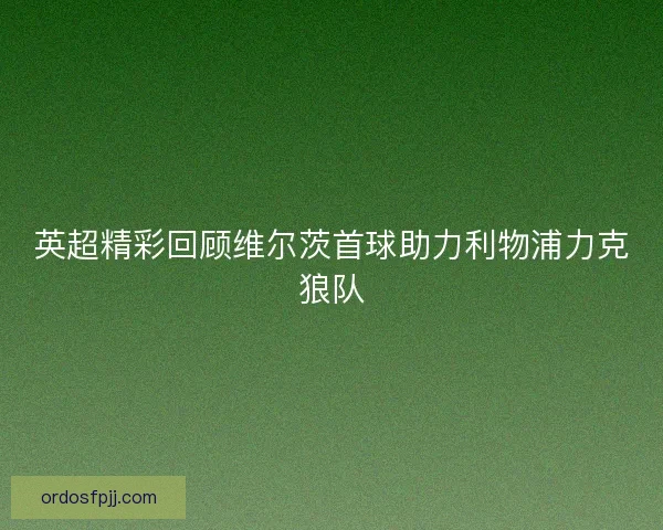 英超精彩回顾维尔茨首球助力利物浦力克狼队