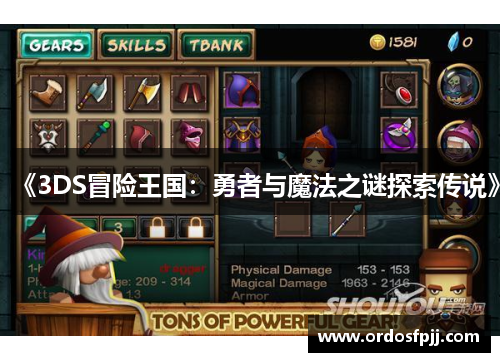 《3DS冒险王国：勇者与魔法之谜探索传说》